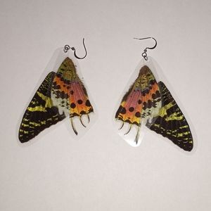 Sunset moth earrings